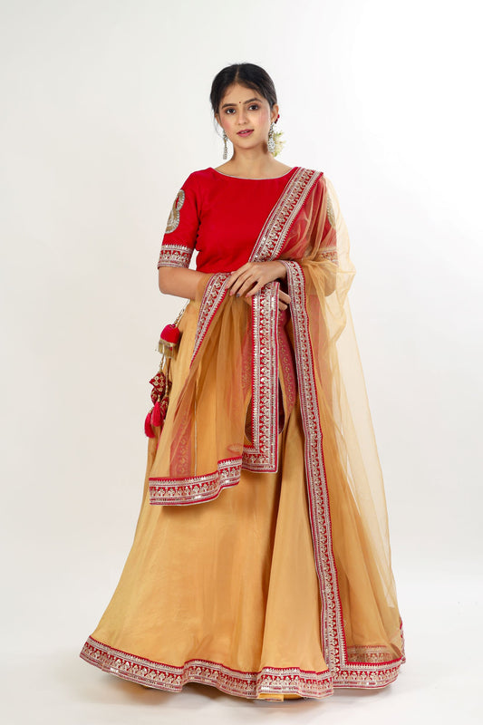 DYUTI - Silk Lehenga Choli Set